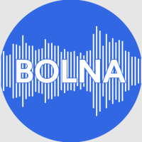 Bolna Ai